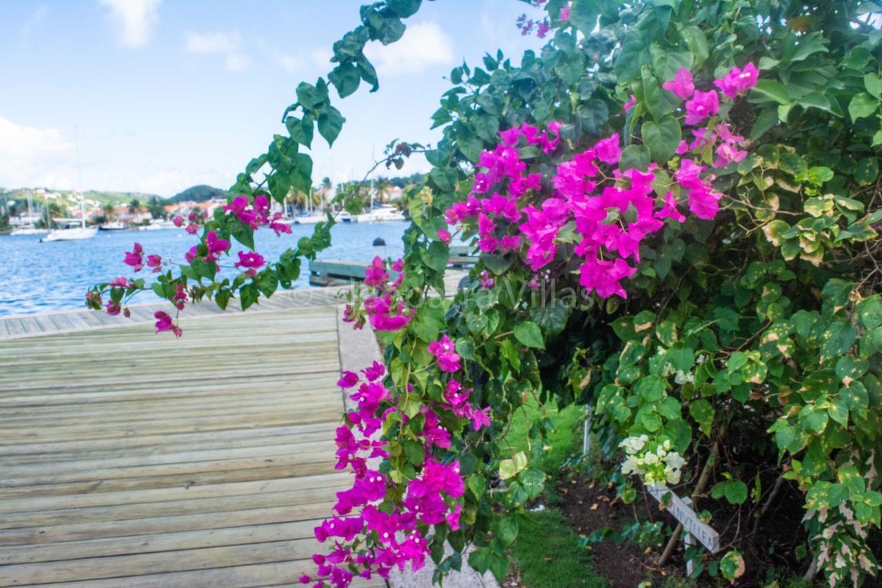 Rodney Bay The Harbourアパートホテル エクステリア 写真