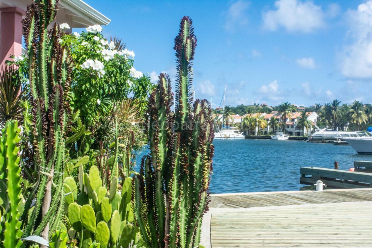 Rodney Bay The Harbourアパートホテル エクステリア 写真
